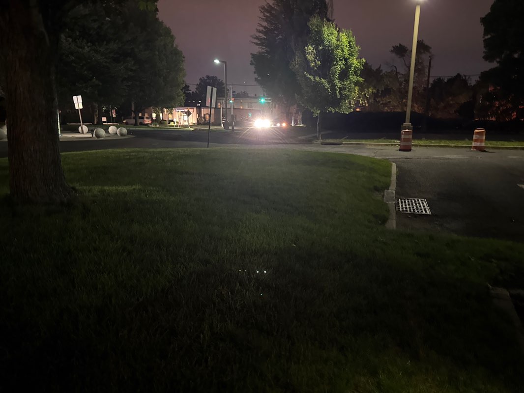 walking near me in Main Memorial Park in spring