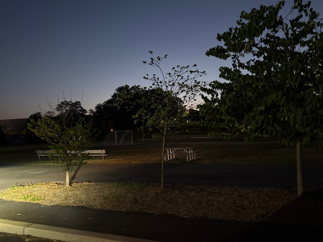 walking near me in Zelenka Park in autumn