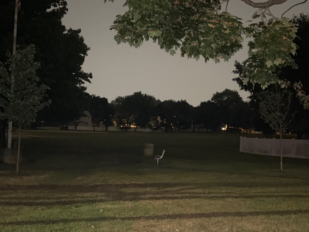 walking near me in Dunney Park in autumn