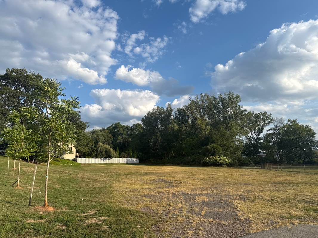 walking near me in Lowry Park in autumn
