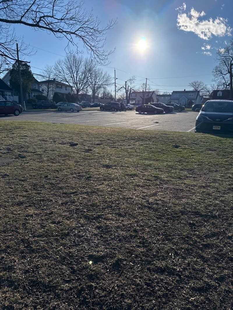 walking near me in Chelsea Memorial Park in spring