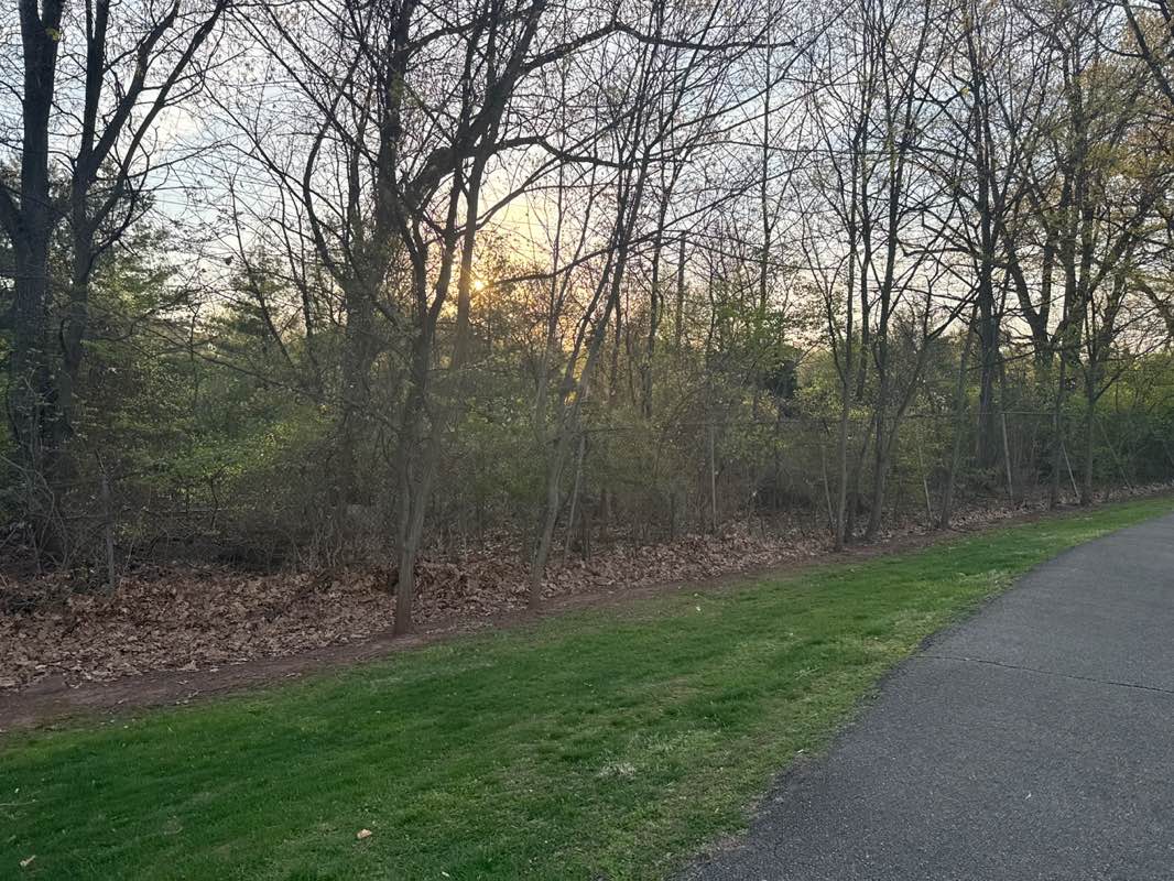 walking near me in Athenia Park in spring