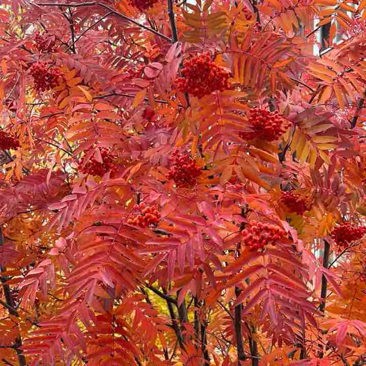 Алмазы Саха 💎💎💎 💎💎🐯Геннадий 🐯💎💎 post image