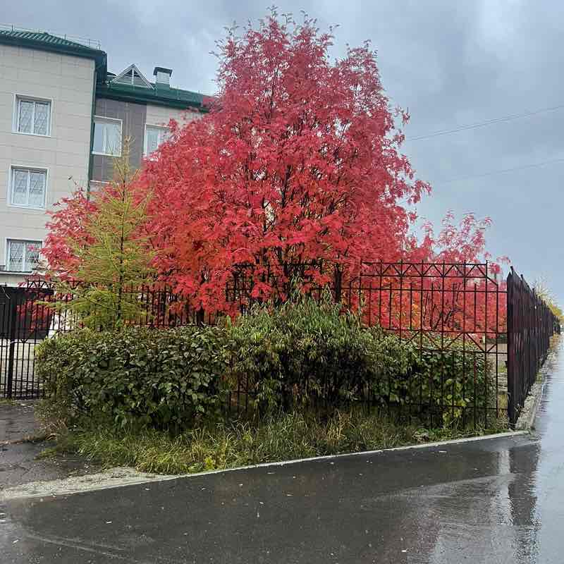 Алмазы Саха 💎💎💎 💎💎🐯Геннадий 🐯💎💎 post image