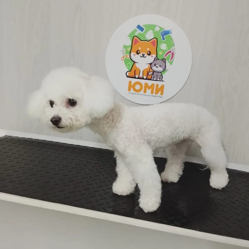 💎💎🐯Геннадий 🐯💎💎 post 1
