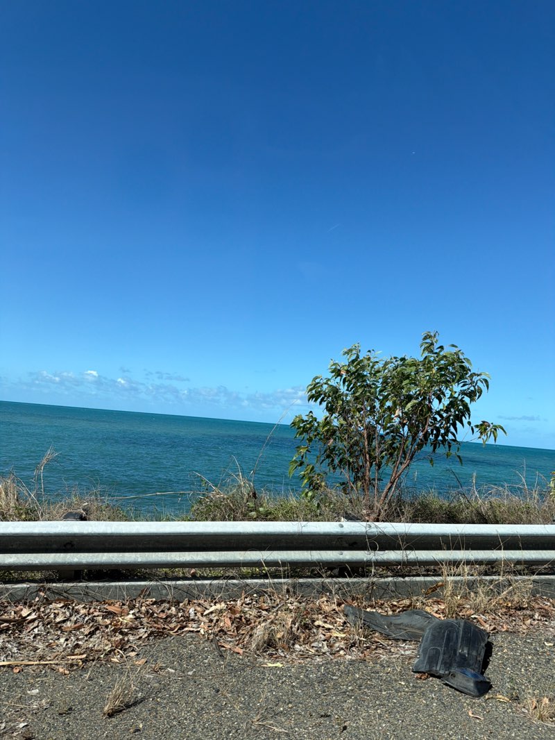 walking near me in Macalister Range National Park in spring