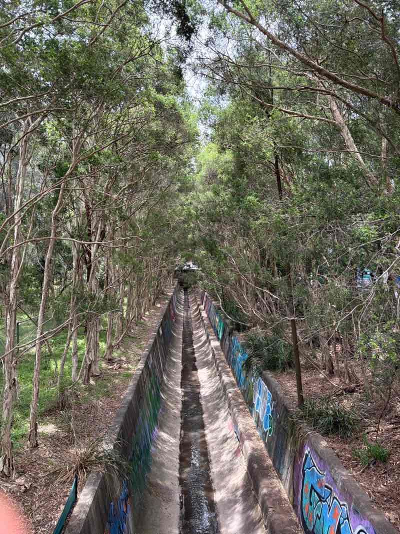 walking near me in Sydney Park in summer