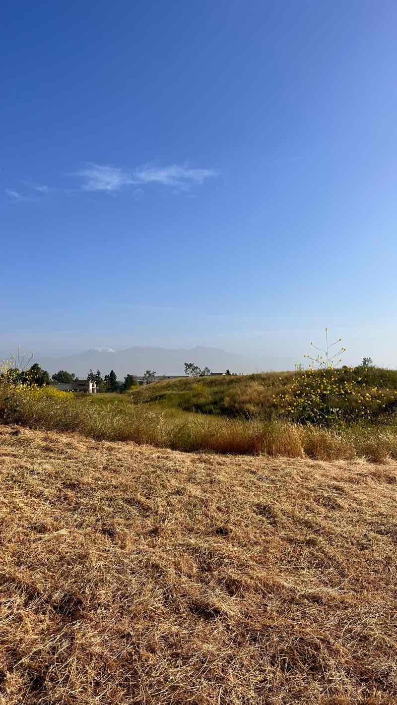 walking near me in Pinehurst Park in winter