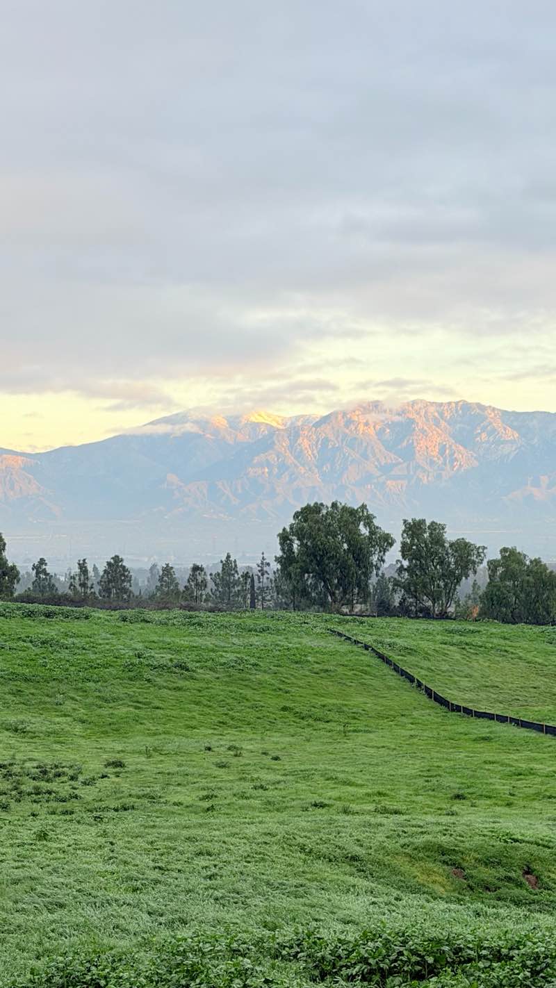 walking near me in Pinehurst Park in winter