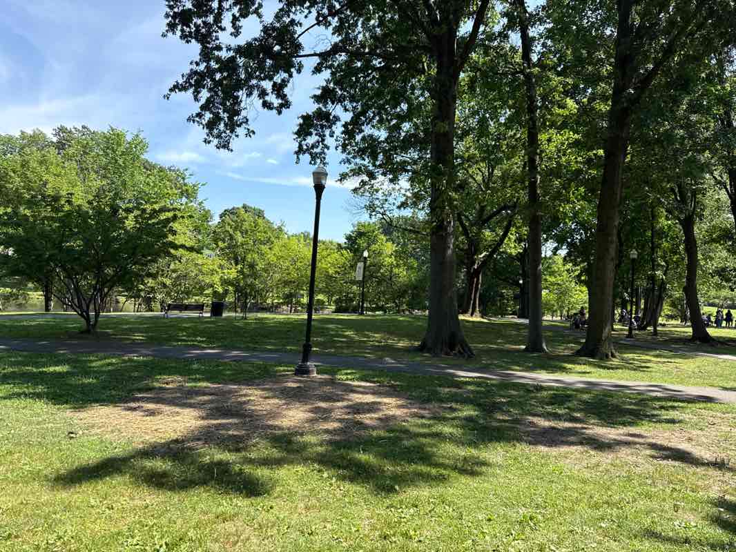 walking near me in Weasel Brook Park in summer