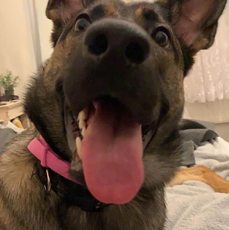 Tyśka 🇵🇱 post 3