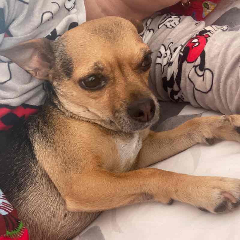 Tyśka 🇵🇱 post 3