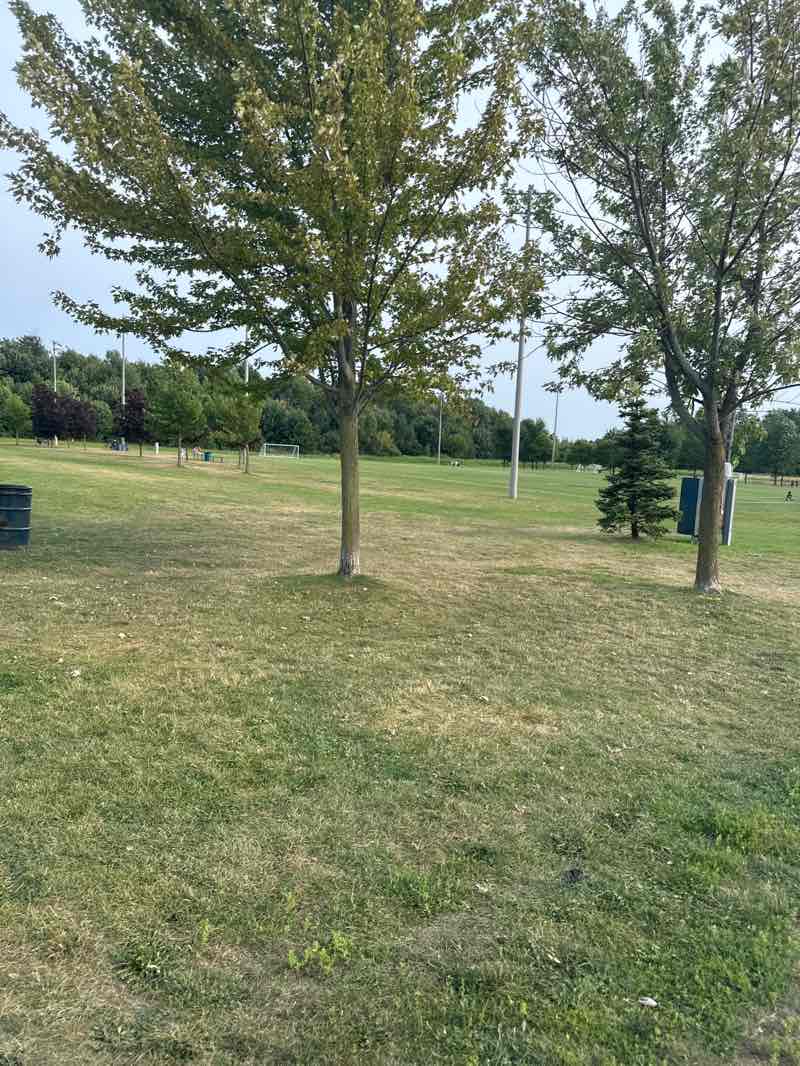 walking near me in Creditview Sandalwood Park in summer