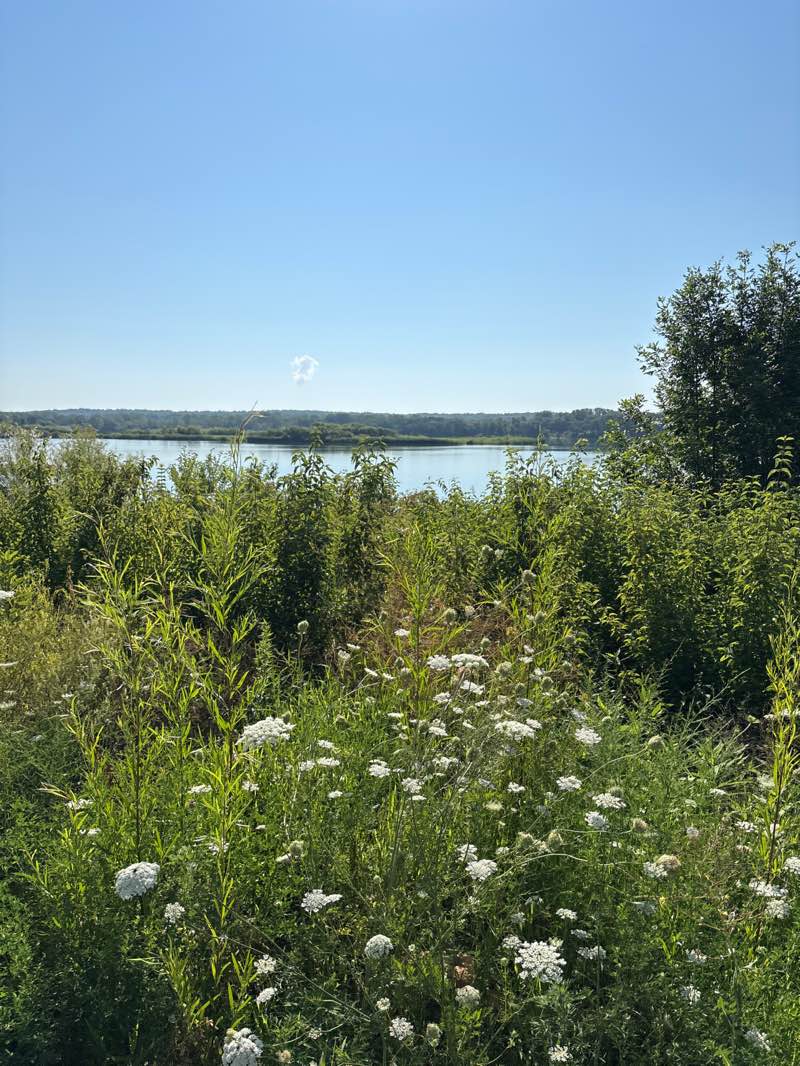 walking near me in Raccoon River Park in summer