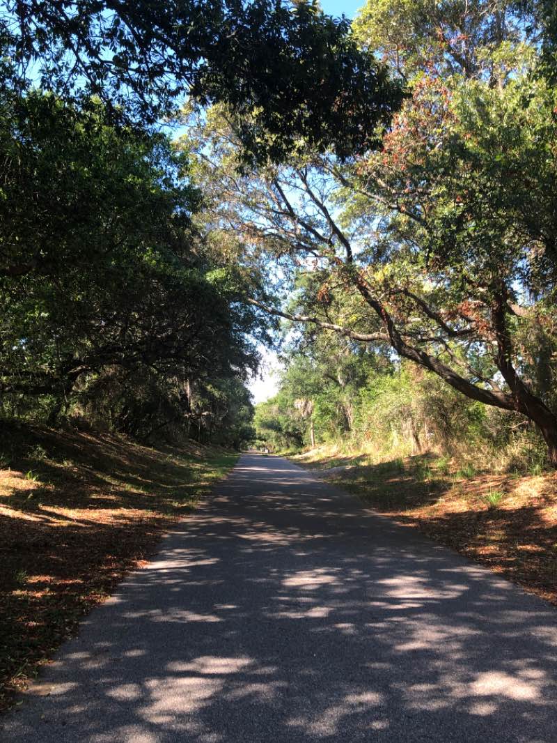 walking near me in North Anclote River Nature Park in winter