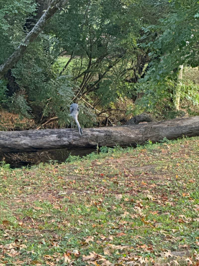 walking near me in Sandy Springs Park in winter