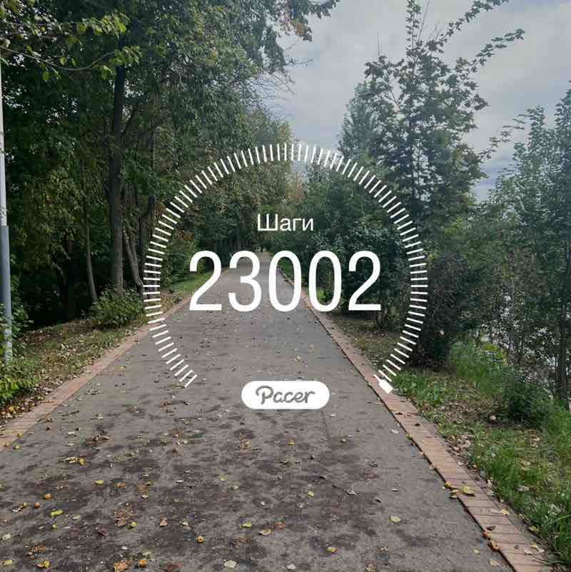 Денис Сурмин 🏃‍♂️🐯 post 1