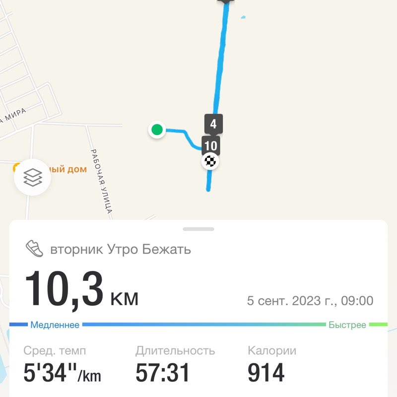 Денис Сурмин 🏃‍♂️🐯 post 2