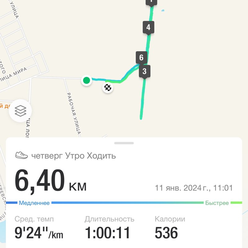 Бег восставших 😊 Денис Сурмин 🏃‍♂️🐯 post image