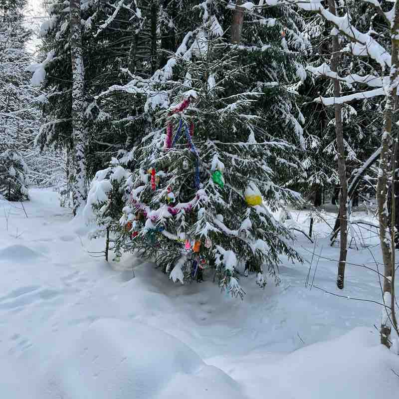 Бег восставших 😊 Денис Сурмин 🏃‍♂️🐯 post image