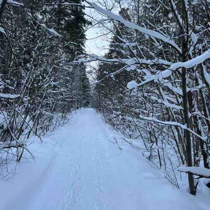 Бег восставших 😊 Денис Сурмин 🏃‍♂️🐯 post image