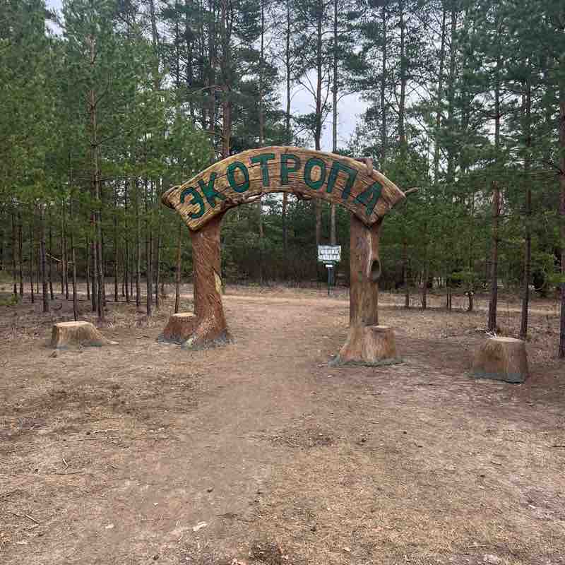 Денис Сурмин 🏃‍♂️🐯 post 2