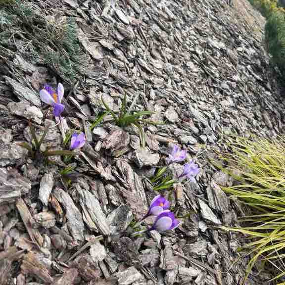 Денис Сурмин 🏃‍♂️🐯 post 1