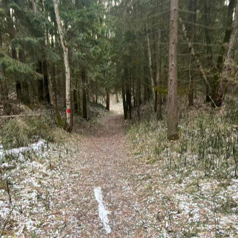 Денис Сурмин 🏃‍♂️🐯 post 1