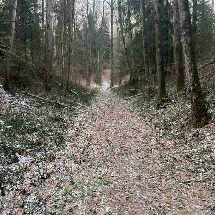 Денис Сурмин 🏃‍♂️🐯 post 2