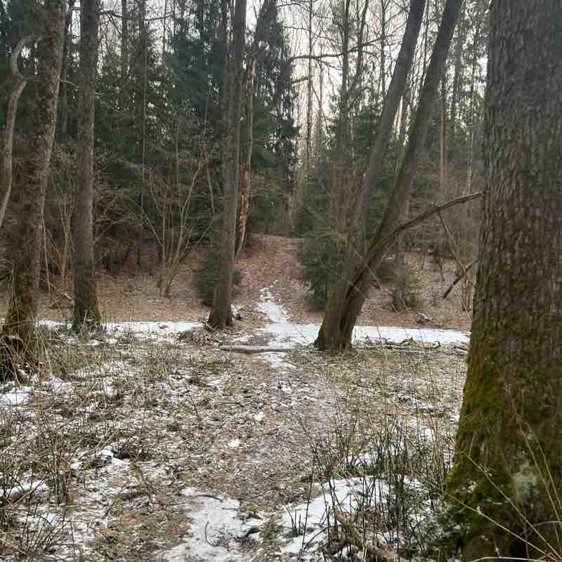 Денис Сурмин 🏃‍♂️🐯 post 3