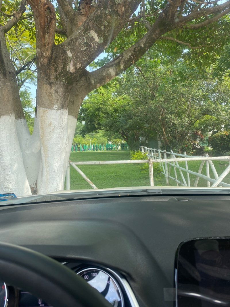 walking near me in Parque Ecológico in winter