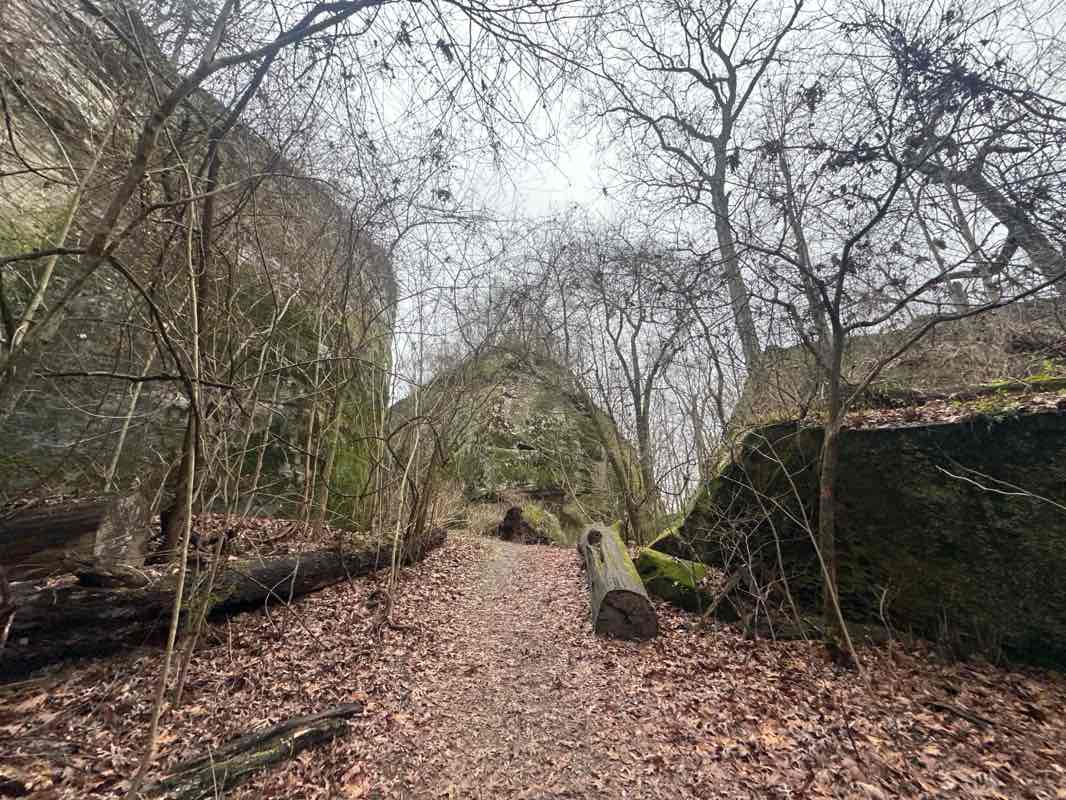 walking near me in Fern Rocks Nature Preserve in winter