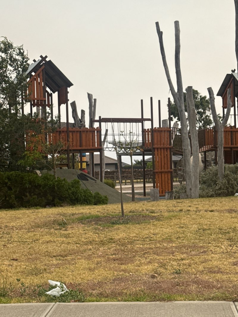 walking near me in Safari Park in summer