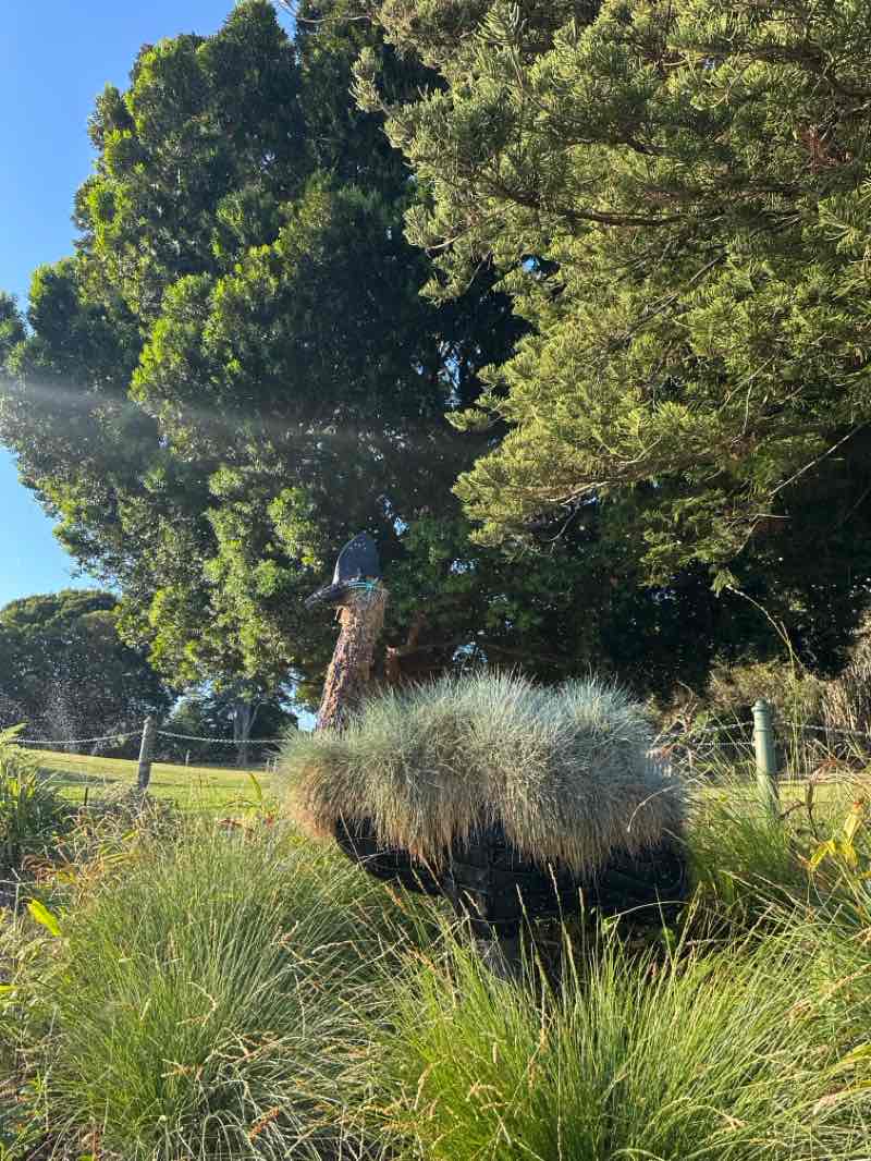 walking near me in Hyde Park North in summer