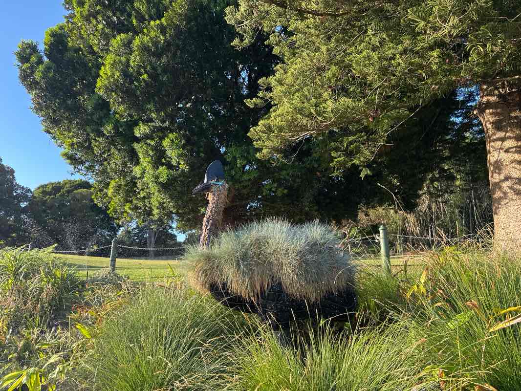 walking near me in Domain Yurong Precinct in summer
