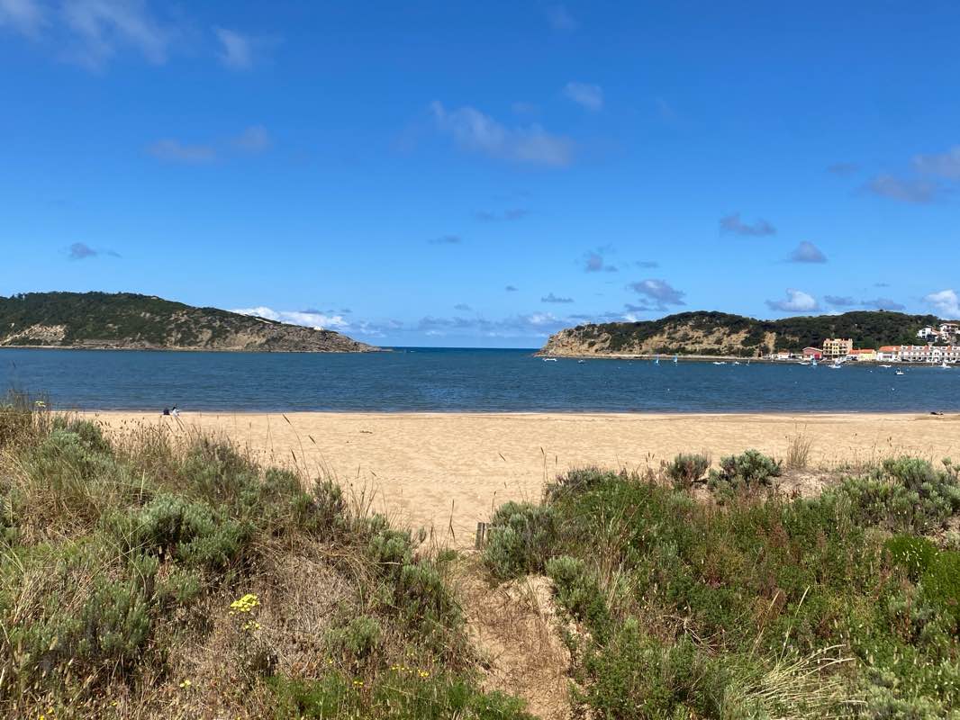 walking near me in Parque Dom Carlos I in spring