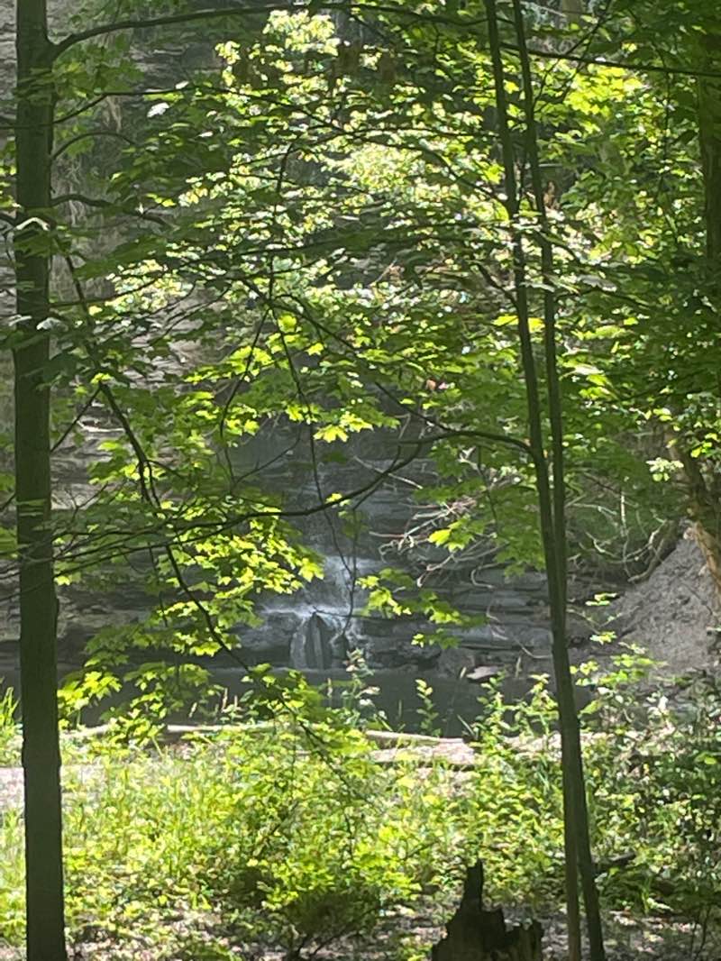 walking near me in Black River Reservation in winter