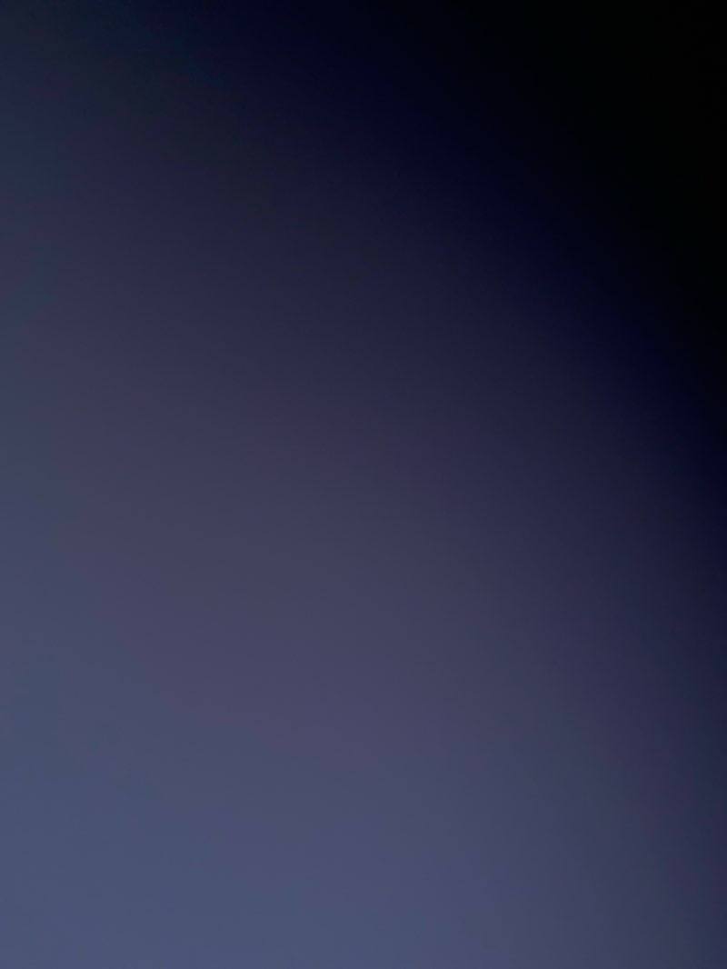 walking near me in Horatio Seymour Park in summer