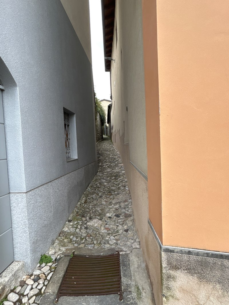 walking near me in Parco Villa Argentina in winter