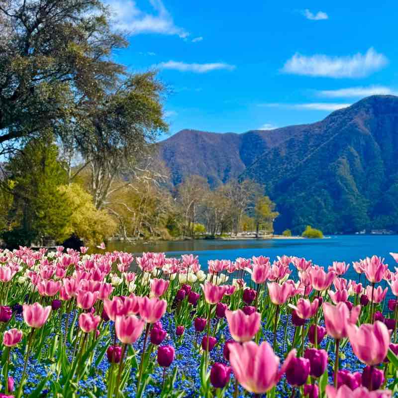 Giuliano 🇨🇭🖤💙🇨🇭 post 1