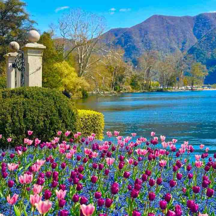 Giuliano 🇨🇭🖤💙🇨🇭 post 2