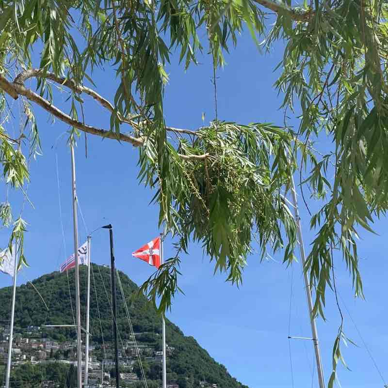 Giuliano 🇨🇭🖤💙🇨🇭 post 1