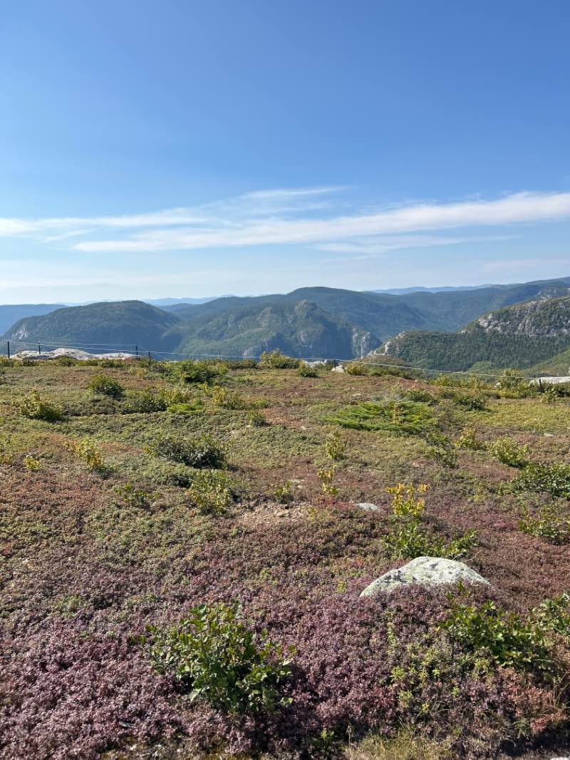 walking near me in Parc national des Grands-Jardins in winter