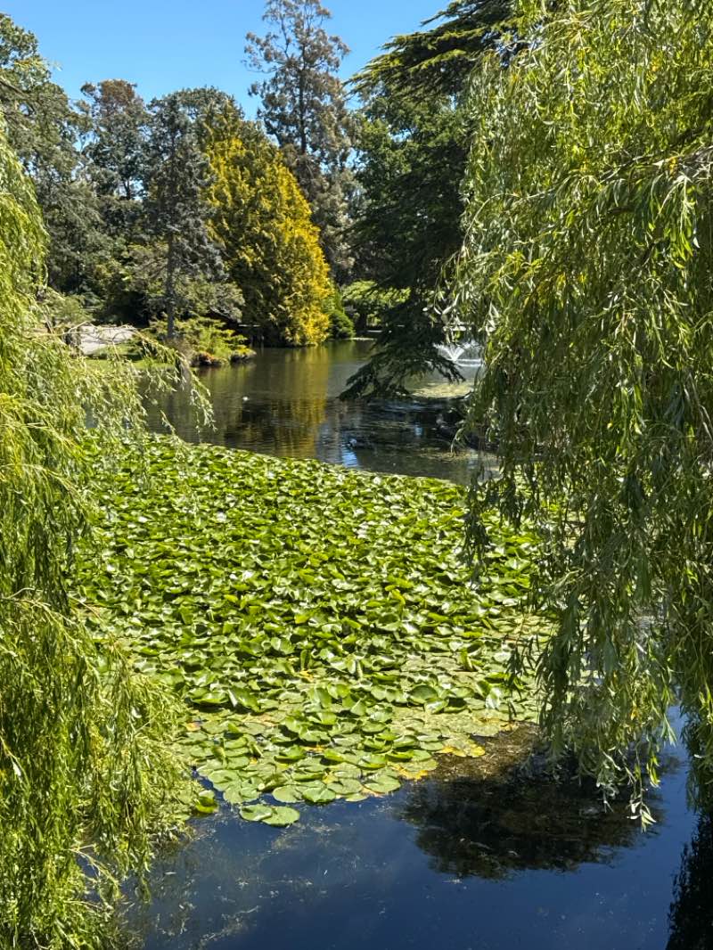 walking near me in Beacon Hill Park in summer