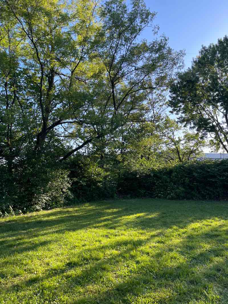 walking near me in Bergen County Park South in spring