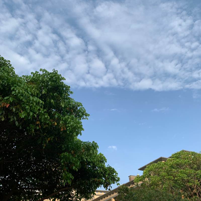 隨意行走 Jase post image