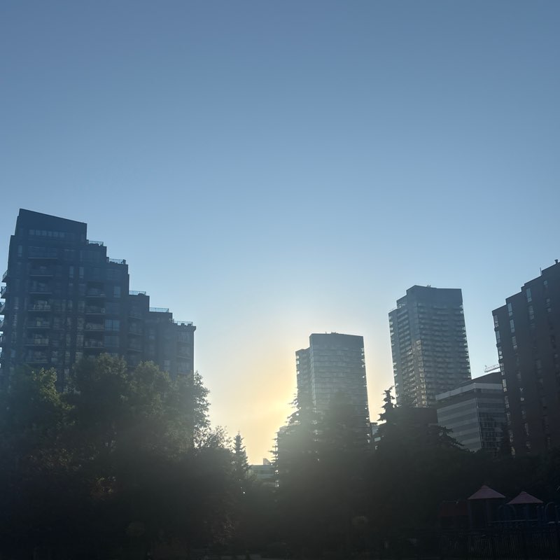 Vincenzo-YYC post 2