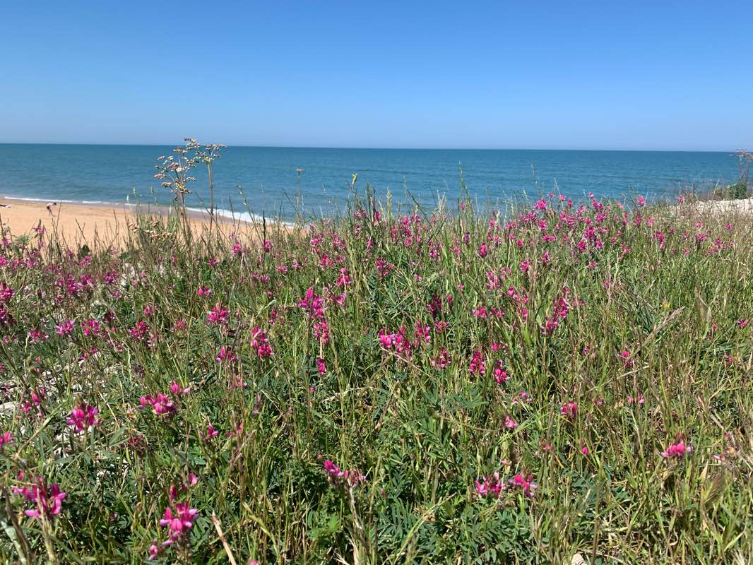 walking near me in Сквер по улице Ленина 70 (со львами) in winter