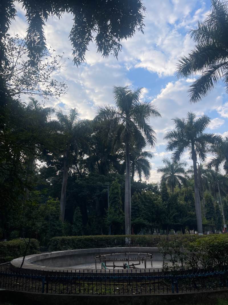 walking near me in Ram Manohar Lohia Udyan in autumn