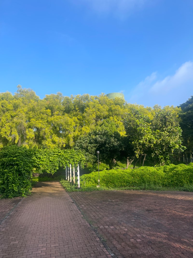 walking near me in Aditi Garden in autumn